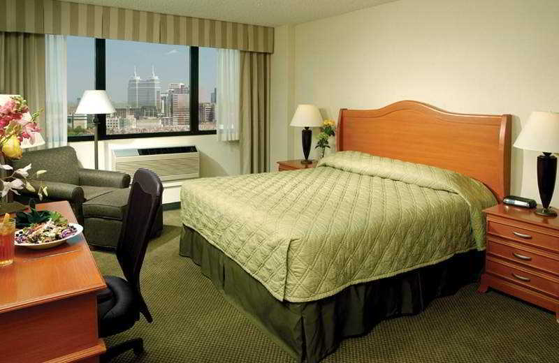 Holiday Inn Houston S - Nrg Area - Med Ctr By Ihg Стая снимка